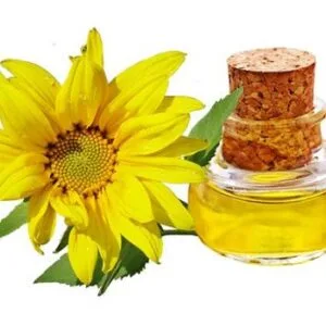 Sunflower Oil