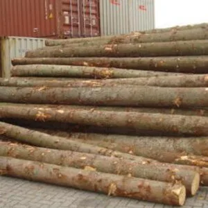 Spruce Logs
